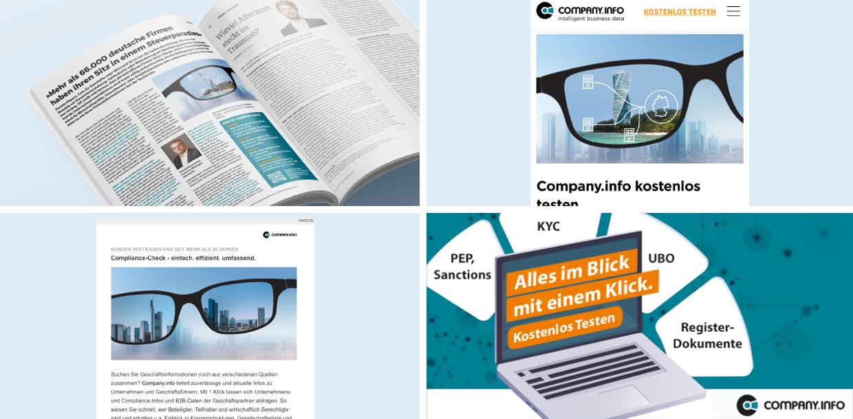 Markenbildung / Positionierung & Kampagne: Company.info