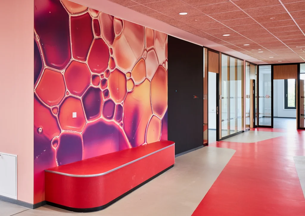 Farbcodierter Eingangsbereich zum Cluster „Forschen“ in der Grundschule „Im Pfingsterfeld“ mit roter Sitzbank und großformatiger Wandgrafik in organischer Struktur – Teil des von R211 gestalteten Leitsystems mit Farbfotografie zur thematischen Orientierung