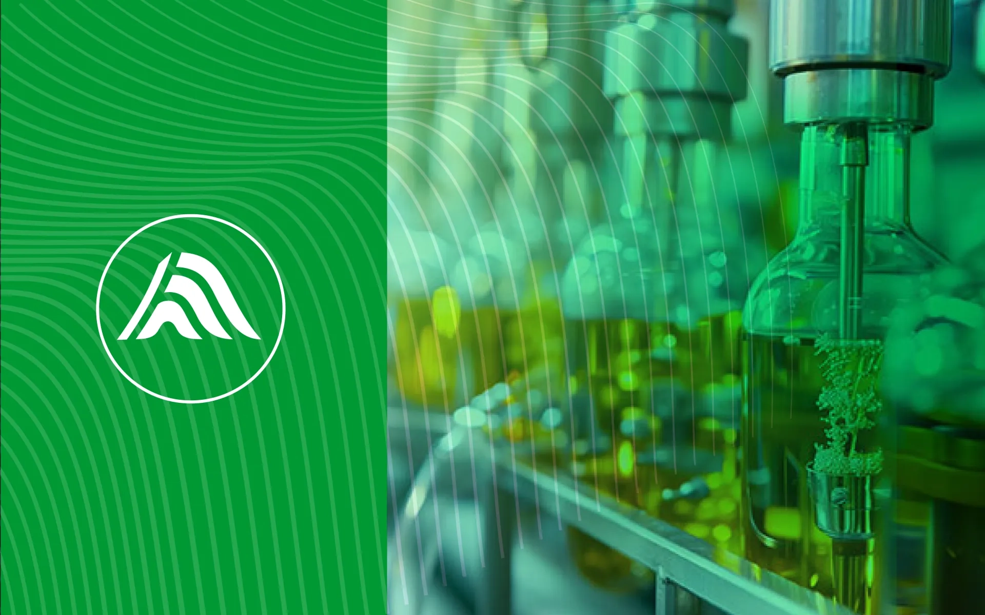 Ansicht des Peaxact-Logos und der dazugehörigen Bildwelt im Moodboard-Stil – als Teil des Rebrandings von S-PACT.