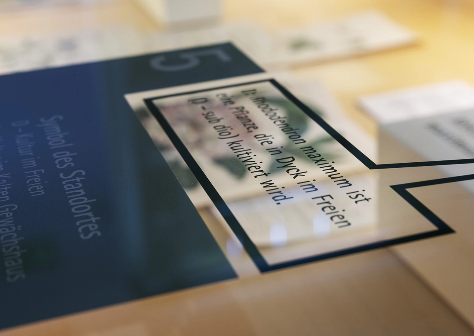 Ausschnitt einer Vitrine der Dauerausstellung für die Stiftung Schloss Dyck, Jüchen