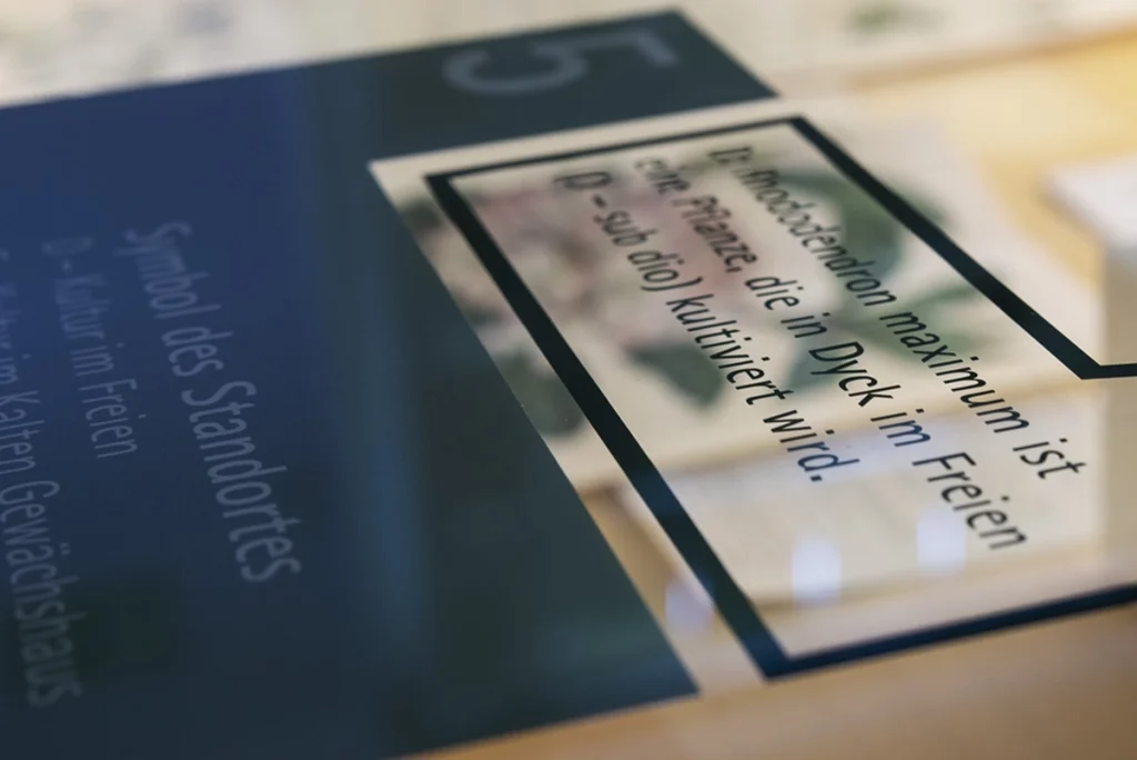 Ausschnitt einer Vitrine der Dauerausstellung für die Stiftung Schloss Dyck, Jüchen