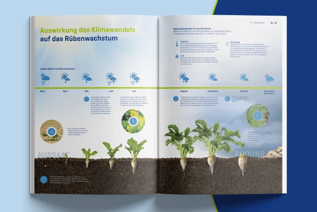 Ansicht der Jubiläumspublikation mit einem Auszug aus einer Seiten zum Thema Auswirkungen des Klimawandels auf das Rübenwachstum für den Verband Wirtschaftliche Vereinigung Zucker e. V.