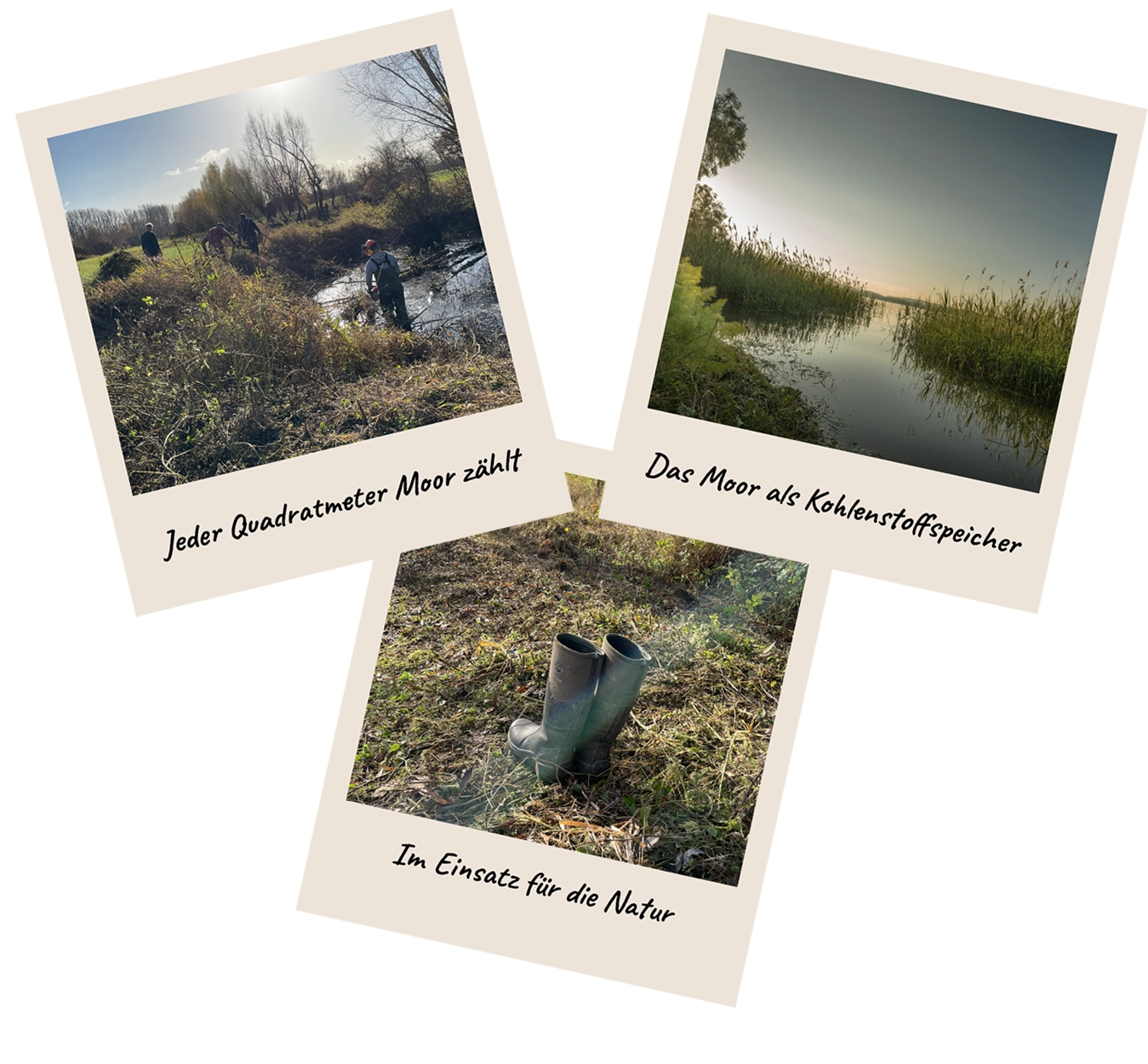 Drei Polaroid-Fotos aus der R211-Spendenaktion „Happy New Moore“. Sie zeigen eine Moorlandschaft, Gummistiefel auf einer Wiese und Menschen bei der Renaturierung eines Moors. Gemeinsam veranschaulichen die Bilder das Engagement der Agentur für den Schutz und die Wiederherstellung heimischer Moore als natürliche Kohlenstoffspeicher.