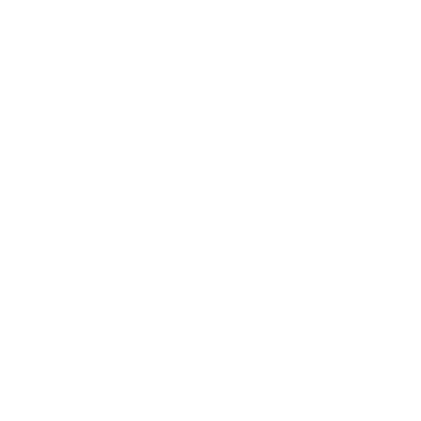 R211 erhält C2A Award 2025